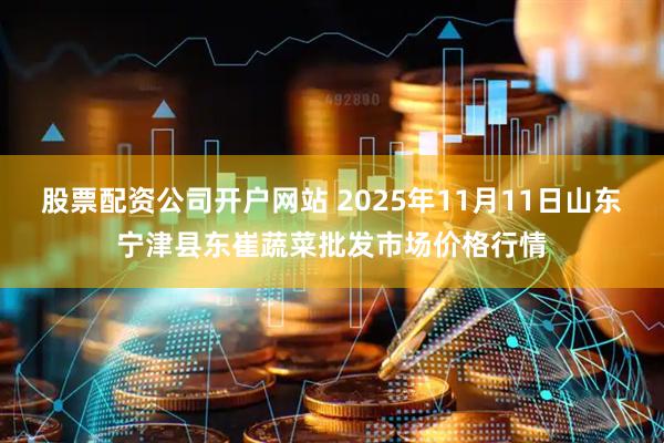 股票配资公司开户网站 2025年11月11日山东宁津县东崔蔬菜批发市场价格行情